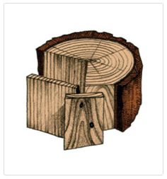 CEDAR.JPG