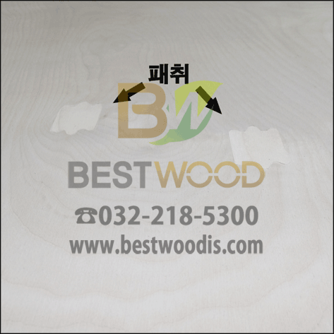Birch_VIEW01.png