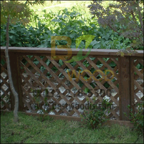 LATTICE_VIEW_003.png